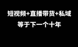 短视频+直播带货+私域等于下一个十年，大佬7年实战经验总结-6688资源库