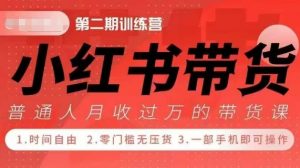 小Red书带货42天训练营 2.0版，宝妈+自由职+上班族+大学生，提高副业收入的大红利项目-6688资源库