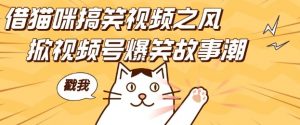 借猫咪搞笑视频之风,掀视频号爆笑故事潮,轻松日入四位数,无门槛快速入门!-6688资源库