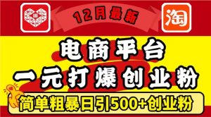 12月最新：电商平台1元打爆创业粉，简单粗暴日引500+精准创业粉，轻松月入过W【揭秘】-6688资源库