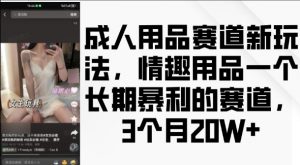 成人用品赛道新玩法，情趣用品一个长期暴利的赛道，3个月收益20个【揭秘】-6688资源库