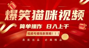 爆笑猫咪视频：简单操作，日入过K，视频号搞钱新策略【揭秘】-6688资源库