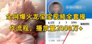 全网爆火龙宝宝视频全套操作流程,播放量2000万+-6688资源库