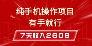 纯手机操作的小项目，有手就能做，7天收入2609+实操教程【揭秘】-6688资源库