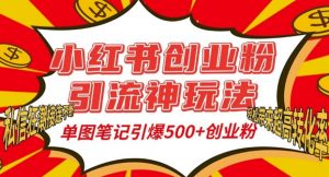 小红书创业粉引流神玩法，单图笔记引爆500+精准创业粉丝，私信狂潮接连不断-6688资源库