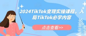 2024TikTok变现实操课程，入局TikTok必学内容-6688资源库