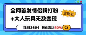 【生财36计】全网首发情侣粉打粉+大人玩具无敌变现-6688资源库