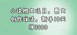 小说推文项目,图文创作玩法,新手10天挣3000-6688资源库