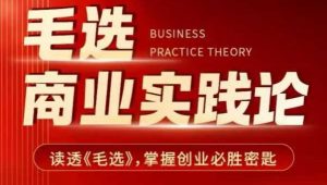 毛选商业实践论，读透《毛选》掌握创业必胜密匙-6688资源库