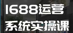 1688高阶运营系统实操课,快速掌握1688店铺运营的核心玩法-6688资源库