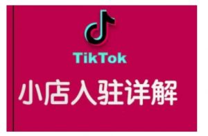 TikTok跨境小店运营全攻略，帮助你独立运营TK跨境小店的能力，实现销量增长-6688资源库
