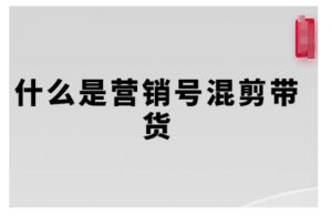 营销号混剪带货,从内容创作到流量变现的全流程,教你用营销号形式做混剪带货-6688资源库