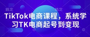 TikTok电商课程，​系统学习TK电商起号到变现-6688资源库