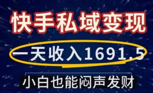 一天收入1691.5,快手私域变现,小白也能闷声发财-6688资源库