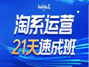 淘系运营21天速成班35期，年前最后一波和2025方向-6688资源库