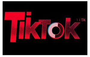 TikTok ads投流秘籍，涵盖tiktok整体投放思路，教你搭建测试计划-6688资源库