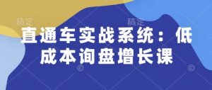 直通车实战系统:低成本询盘增长课,让个人通过技能实现升职加薪,让企业低成本获客,订单源源不断-6688资源库