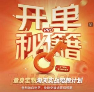 淘宝开单秘籍PRO,量身定制淘天实战陪跑计划,告别做店迷茫、快速突破运营瓶颈期-6688资源库