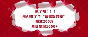 疯了吧！用AI做了个“会做饭的猫”，播放200万，单日变现1k-6688资源库
