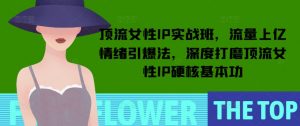 顶流女性IP实战班,流量上亿情绪引爆法,深度打磨顶流女性IP硬核基本功-6688资源库