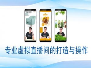 个人虚拟直播间的搭建与操作，专业虚拟直播间的打造与操作-6688资源库