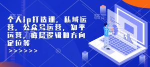 个人ip打造课，私域运营，公众号运营，知乎运营，底层逻辑和方向定位等-6688资源库