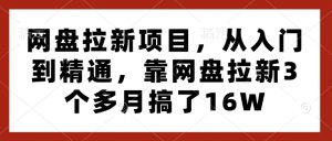 网盘拉新项目，从入门到精通，靠网盘拉新3个多月搞了16W-6688资源库