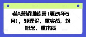 老A营销训练营(更25年1月)，轻理论，重实战，轻概念，重本质-6688资源库
