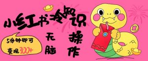 小红书冷知识账号，无脑复制粘贴，5分钟即可变现3张-6688资源库