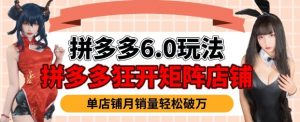 拼多多虚拟商品暴利6.0玩法，轻松实现月入过W-6688资源库