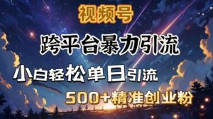 跨平台暴力引流，私域完美闭环，日引500+精准创业粉-6688资源库