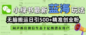 小绿书无脑搬运引流，全自动日引500精准创业粉，微信生态内又一个闷声发财的机会-6688资源库