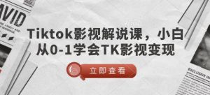 TikTok影视解说课，小白从0-1学会TK影视变现-6688资源库