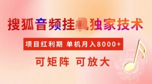 首发搜狐音频挂JI，项目红利期，可矩阵可放大，稳定月入5k【揭秘】-6688资源库