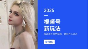 搬运老外奇葩视频，撸视频号分成计划收益，每天只需一小时，新手小白轻松月入过W-6688资源库