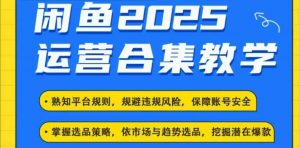 2025闲鱼电商运营全集，2025最新咸鱼玩法-6688资源库