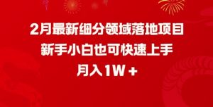 2月最新细分领域落地项目，新手小白也可快速上手，月入1W-6688资源库