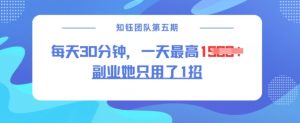 副业她只用了1招，每天30分钟，无脑二创，一天最高1.5k-6688资源库