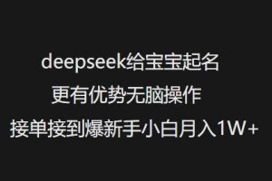 deepseek给宝宝起名更有优势无脑操作接单接到爆新手小白月入1W+-6688资源库