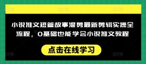小说推文短篇故事混剪最新剪辑实操全流程，0基础也能学会小说推文教程，肯干多发日入多张-6688资源库