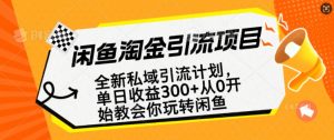 闲鱼淘金私域引流计划，从0开始玩转闲鱼，副业也可以挣到全职的工资-6688资源库