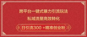 跨平台一键式暴力引流玩法，私域流量高效转化日引流300 +精准创业粉-6688资源库