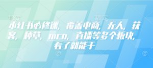 小红书必修课，覆盖电商，无人，获客，种草，mcn，直播等多个板块，看了就能干-6688资源库