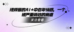 视频号的AI+中老年情感,一个被严重低估的赛道-6688资源库