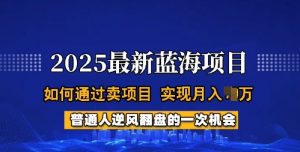 2025蓝海项目，普通人如何通过卖项目，实现月入过W，全过程【揭秘】-6688资源库