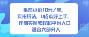 番茄小说10米每单,实拍玩法,0成本好上手,详细实操教程和平台入口适合大部分人-6688资源库