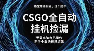 【稳定副业】全球最热门游戏CSGO全自动捡漏，最新玩法，新手小白日入5张+【揭秘】-6688资源库