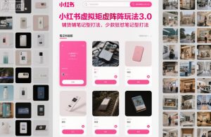 小红书虚拟矩阵玩法3.0,铺货铺笔记型打法,少款狂怼笔记型打法-6688资源库