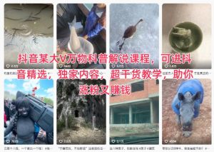 抖音某大V万物科普解说课程,可进抖音精选,独家内容,超干货教学,助你涨粉又賺钱-6688资源库