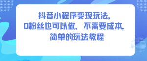 抖音小程序变现玩法，0粉丝也可以做，不需要成本，简单的玩法教程-6688资源库
